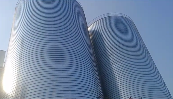 宁晋2座混凝土高架卷板仓